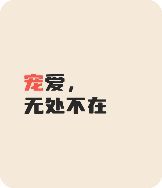 今年会jinnianhui金字招牌宠物，无处不在