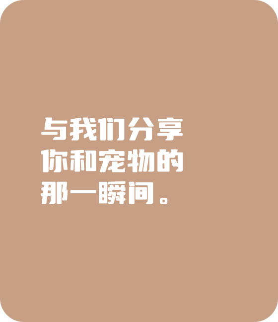 今年会jinnianhui金字招牌宠物，无处不在